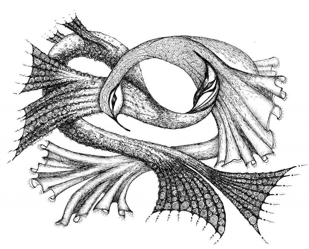 dragonfish8